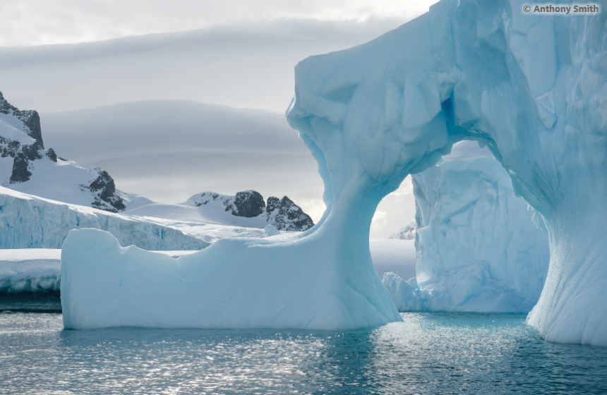 Antarctic_2021_1011_Antarctic Awakening